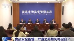 <b>食物平安监管 严查之外若何补空白？</b>